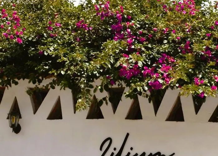Lilium Valley Hotel *